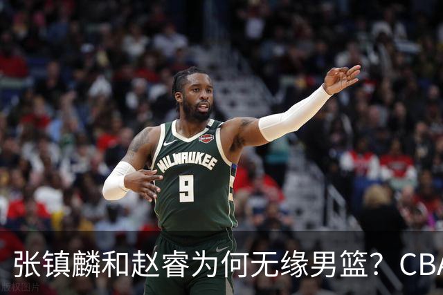 张镇麟和赵睿为何无缘男篮？CBA名记分析，道出2个原因